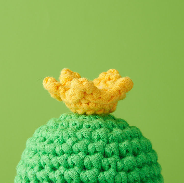 Kibakids - Tiny Crown Accessory Kit