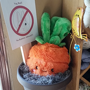 Kibakids - Comfort Food Carrot
