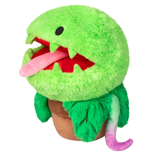 Kibakids - Mini Kibakids Venus Flytrap