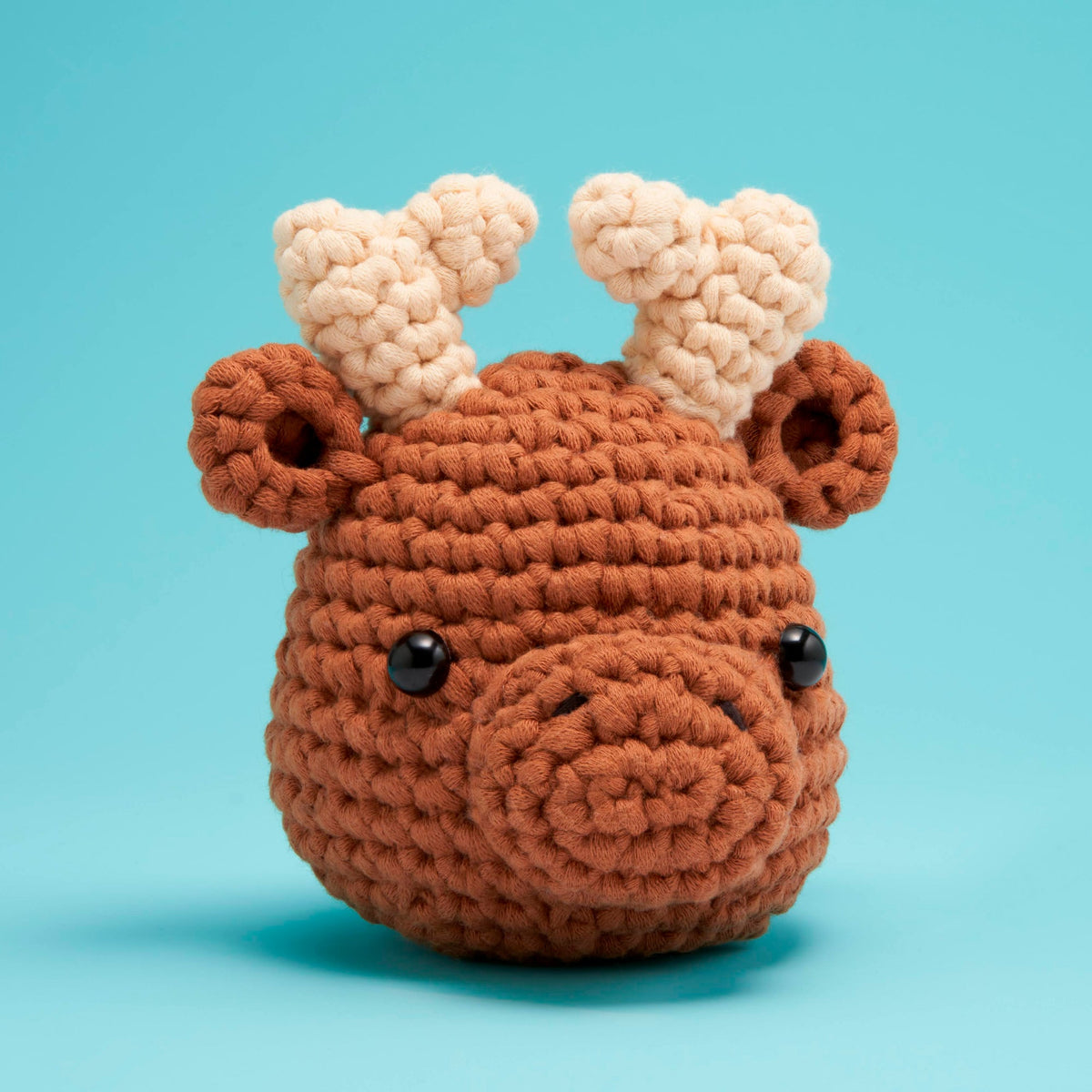 Kibakids - Winter Woobleland Bundle