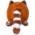 Kibakids - Snacker Red Panda S1E1